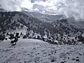 تساقطات ثلجية بإقليم بولمان