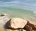 مياه شاطئ الخليج