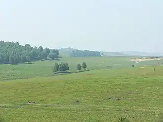 المراعي المنغولية الداخلية