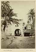 بسكرة سنة 1875.
