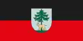 علم Jēkabpils