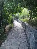 الصورة 1