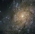 الأذرع الحلزونية وحوصلة المجرة الصغيرة