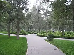 طريق عبر الحديقة