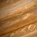صورة تفصيلية للمشتري