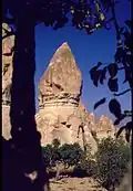 بالقرب من غوريم