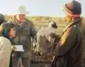 حمل صغير من سلالة القرة قول