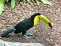 At Zoo Miami