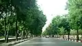 شارع شيرودي شرق مدينة كرمانشاه