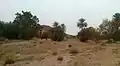 من طبيعة الخنق