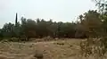 من طبيعة الخنق
