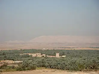 الواحات الخارجة