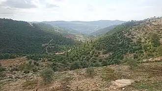 المنطقة الحرجية في سرابيس