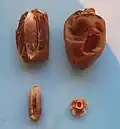 تمر من نوع خلاص إماراتيّ