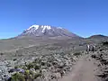 جبل كليمنجارو.