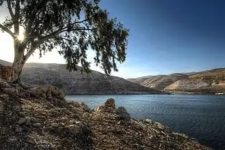 بحيرة سد الملك طلال