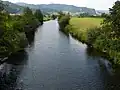 نهر كينزيج&nbsp;[الإنجليزية] يمر في الغابة