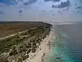 كلاين بونير