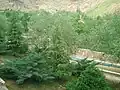 متنزه كوهستان شرقي مدينة كرمانشاه