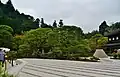 حديقة المبنى