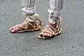 واراجي في مهرجان غيون بكيوتو.