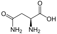 أسبرجين