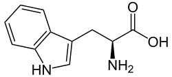 تريبتوفان