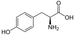 تيروسين