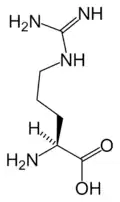 L-أرجنين(Arg&nbsp;/&nbsp;R)