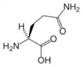 L-جلوتامين(Gln / Q)
