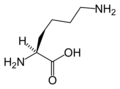 L- ليسين(Lys / K)