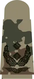 Oberstleutnant(tropentarn)