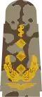 العام oberstabsarzt  (بدلة الصحراء)