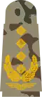 جنرال لواء ( صندل )