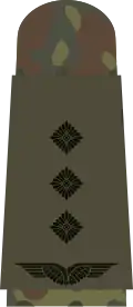 هاوبتمان (بدلة الحقل)