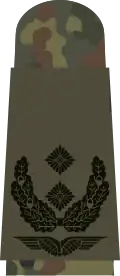 Oberstleutnant(flecktarn)