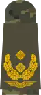 Generalmajor  (بدلة الحقل)