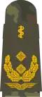 العام stabsarzt  ( الطب البشري )