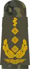 العام oberstabsarzt  (الطب البشري)