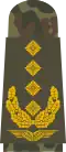 جنرال لواء (بدلة الحقل)