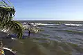 شاطئ مغمور في بلايا سانتو دومينيغو، Isla de Ometepe