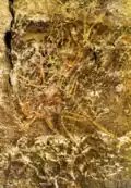Un cerf gravé de l'Abside.