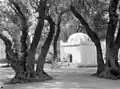 الحديقة العمومية محمد الخامس (سيدي يعقوب) في حوالي 1925، كانت تسمى أنذاك "Bois sacré" (تعني بالفرنسية "الغابة المقدسة")