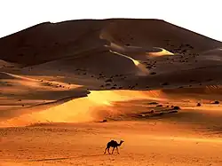 الصحراء الجزائرية