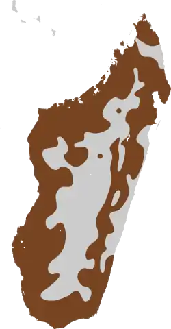 The large island of Madagascar, slightly off the southeast coast of Africa, highlighted in green