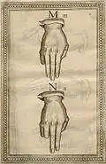 M، N.