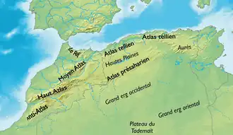 التل (الجزائر)