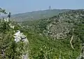 جبل الكرمل