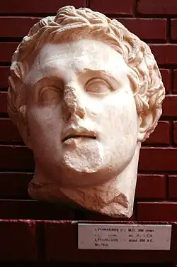تعليق
