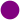لوسنس